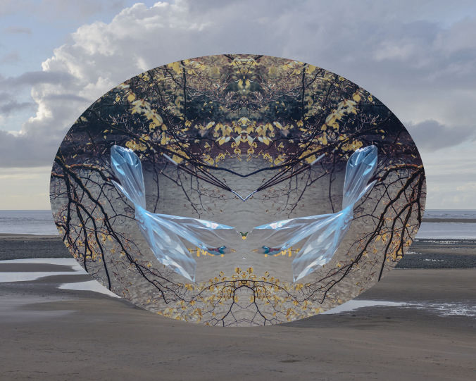 Andy Hughes Shimmer