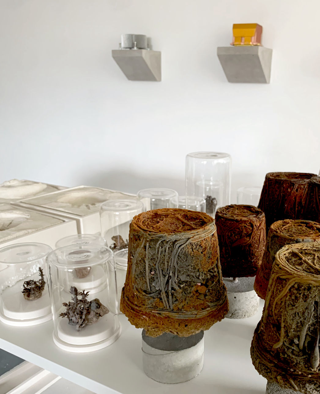 Robin Tarbet's studio